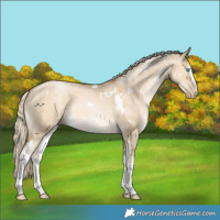 Horse Color:White Spotted Chocolate Palomino Pearl Dun 