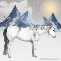 Horse Color:White Spotted Black Splash