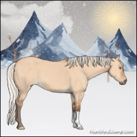 Horse Color:Silver Bay Dun 