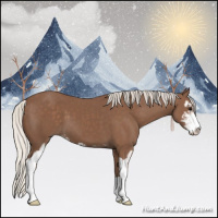 Horse Color:Silver Black Sabino 