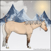 Horse Color:Silver Bay Dun 