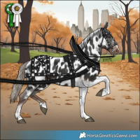 Horse Color:Liver Chestnut Tobiano Near Leopard 