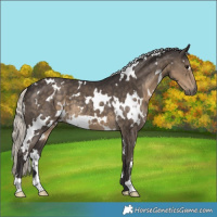 Horse Color:White Spotted Silver Smoky Black 