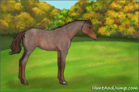 Horse Color:Liver Red Roan 
