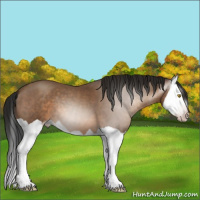 Horse Color:Gray Sable Champagne Splash 