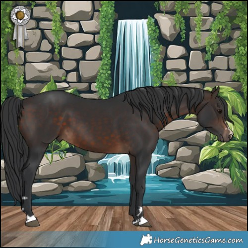 Horse Color:Brown 