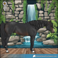 Horse Color:Brown 
