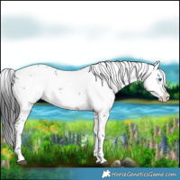 Horse Color:Black Frame