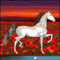 Horse Color:Classic Champagne Dun Splash Frame 