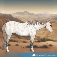 Horse Color:Bay Dun Near Leopard 