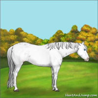 Horse Color:Black Frame 