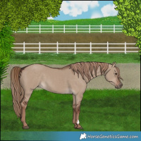 Horse Color:Liver Red Dun