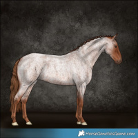 Horse Color:Red Roan 