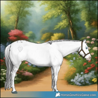 Horse Color:Black Frame 