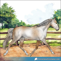 Horse Color:Gray Palomino Dun 