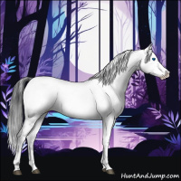 Horse Color:Black Frame 