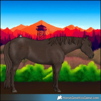 Horse Color:Liver Chestnut
