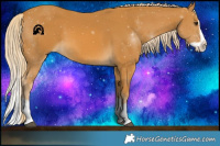 Horse Color:Palomino Splash 