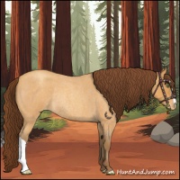 Horse Color:Sable Cream Champagne Roan Varnish Rabicano 