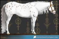 Horse Color:Platinum White Spotted Sable Champagne Splash Blanket 