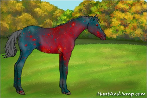 Horse Color:ERROR: UNKNOWN ANOMALY