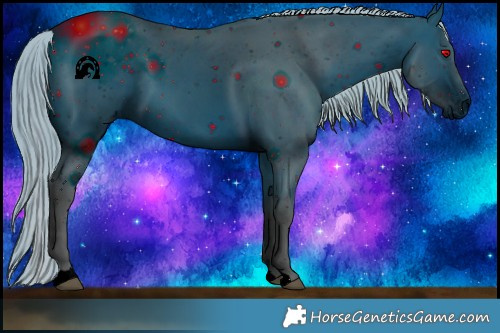 Horse Color:ERROR: UNKNOWN ANOMALY