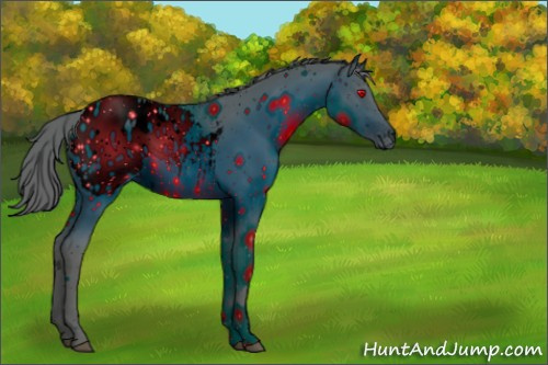 Horse Color:ERROR: UNKNOWN ANOMALY