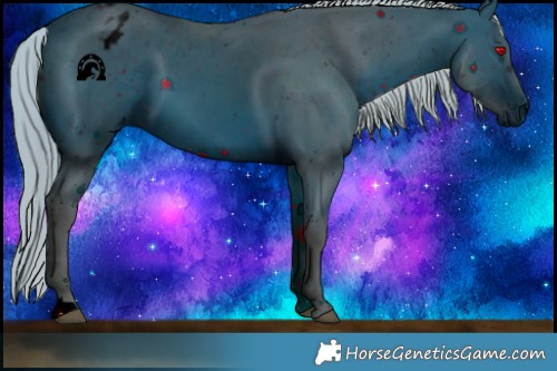 Horse Color:ERROR: UNKNOWN ANOMALY