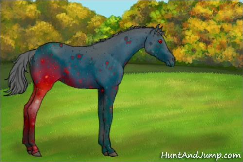 Horse Color:ERROR: UNKNOWN ANOMALY