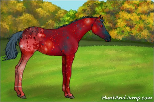 Horse Color:ERROR: UNKNOWN ANOMALY