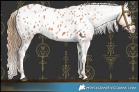 Horse Color:Chestnut Near Leopard 