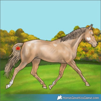 Horse Color:Chestnut Pearl 