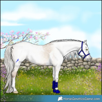 Horse Color:Gray Silver Amber Champagne Dun Tobiano