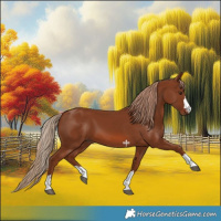 Horse Color:Chestnut 