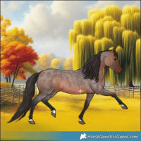 Horse Color:Brown Roan 