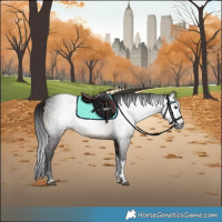 Horse Color:Gray Brown Tobiano 