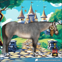 Horse Color:Gray Buckskin Roan Tobiano