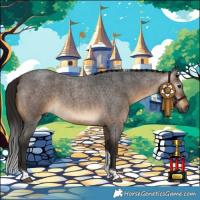 Horse Color:Gray Buckskin Roan Tobiano