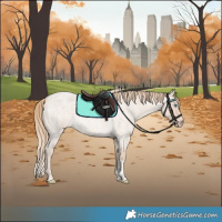 Horse Color:Perlino Roan Tobiano
