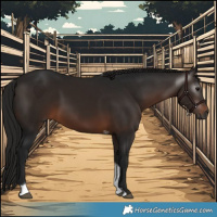 Horse Color:Gray Bay Tobiano 