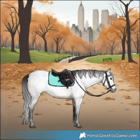 Horse Color:Gray Buckskin Roan 