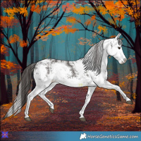 Horse Color:White Spotted Liver Chestnut Sabino