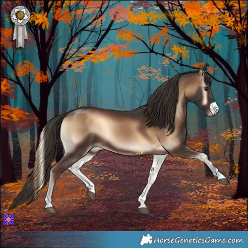 Horse Color:Liver Red Onyx