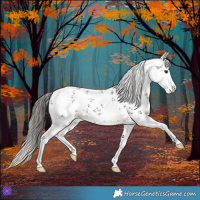 Horse Color:White Spotted Liver Chestnut Sabino