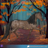 Horse Color:Liver Red Dun Brindle 