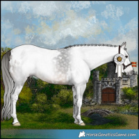Horse Color:Gray White Spotted Buckskin Tobiano Appaloosa 