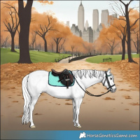 Horse Color:Gray Buckskin Appaloosa