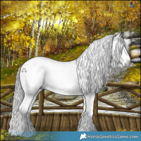 Horse Color:Gray White Spotted Liver Chestnut Sabino Blanket 