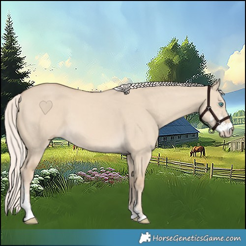 Horse Color:Cremello Dun Sabino