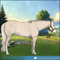 Horse Color:Cremello Dun Sabino